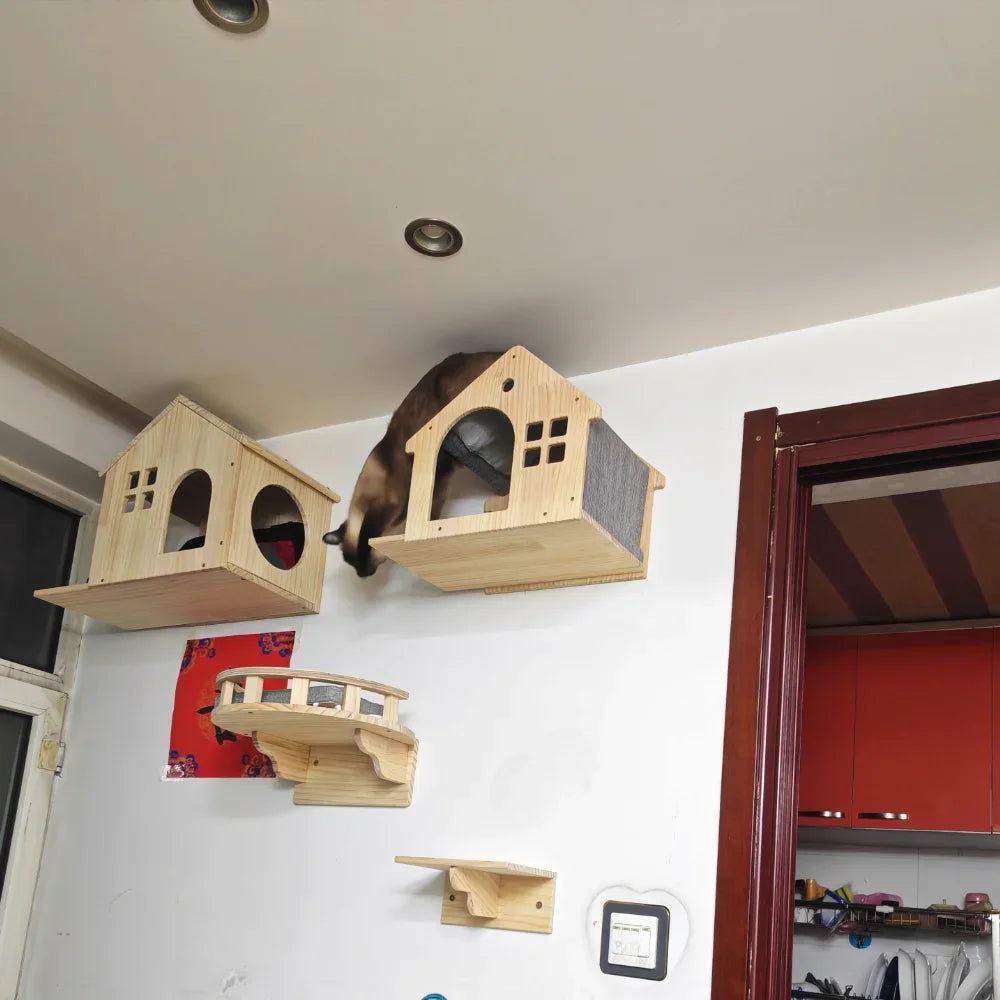 S41f0d5d5da60488b8404ed4acffae363Y